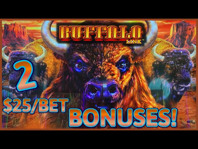 HIGH LIMIT Buffalo Link ~ (2) $25 Bonus Rounds Slot Machine Casino