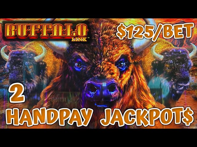 HIGH LIMIT Buffalo Link (2) HANDPAY JACKPOTS ~ $125 Bonus Round Slot Machine Casino