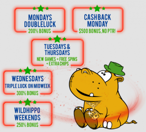 $9,000 in bonuses on your first 3 deposits at LuckyHippo