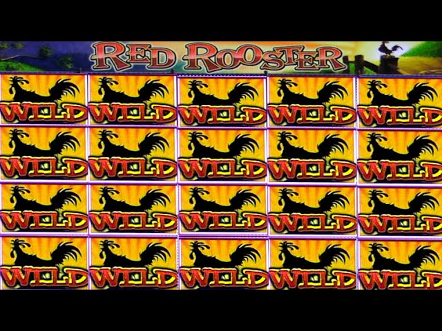 JACKPOT HANDPAY$500 BETSRED ROOSTER HIGH LIMIT SLOT MACHINE BUENO DINERO MUSEUM SLOTS IGT