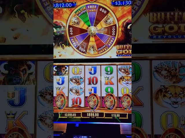 OMG Huge Win On Buffalo Gold Slot Machine #shorts