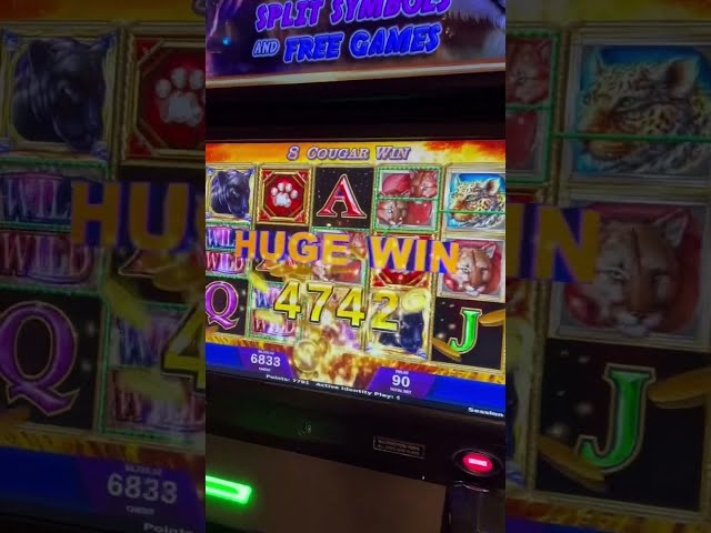 WOW Huge Jackpot On Slot Machine At $90 MAX BET