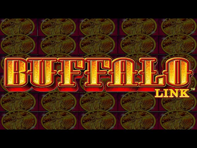 Buffalo Link Slot Machine Winning!