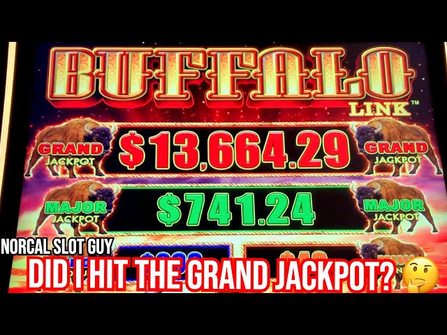 CHASING THE GRAND JACKPOT ON BUFFALO LINK | NorCal Slot Guy