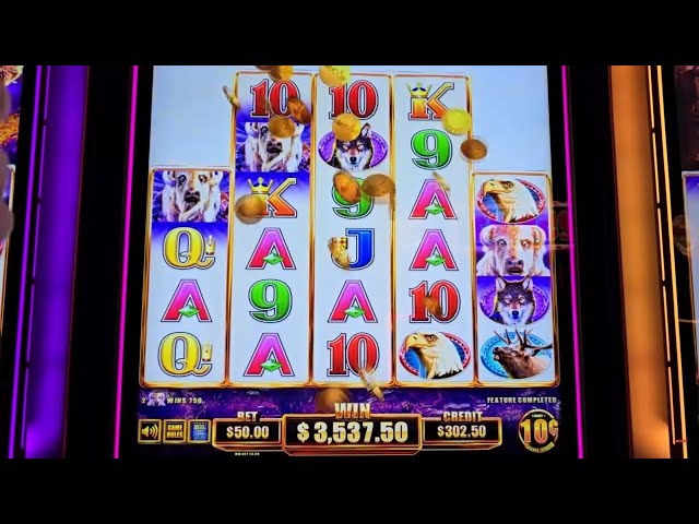 Slot Jackpots That Make You $%^& Yourself! Caution!!