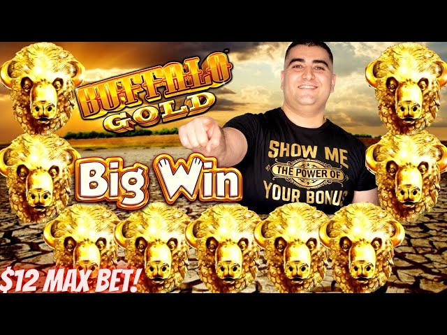 Buffalo Gold Slot Machine BIG WIN | Pelican Pete Slot Machine BIG WIN | Live Slot Play At Casino !