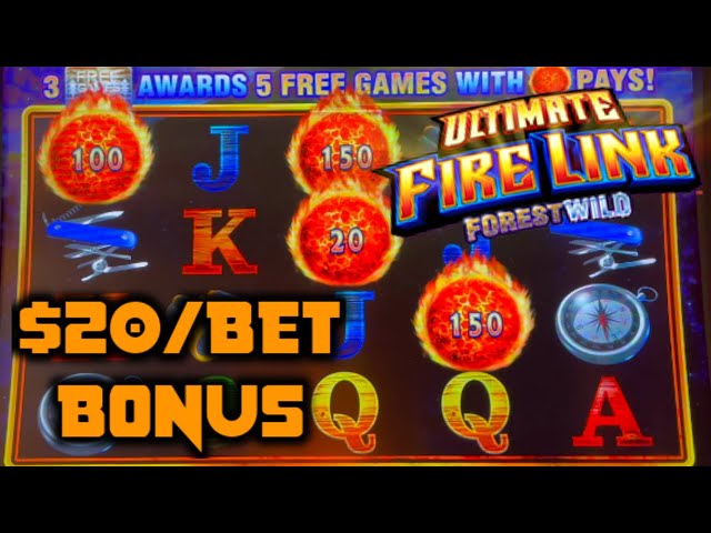 HIGH LIMIT Ultimate Fire Link Forest Wild & Lock It Link Piggy Bankin’ Bonus Round Slot Machine