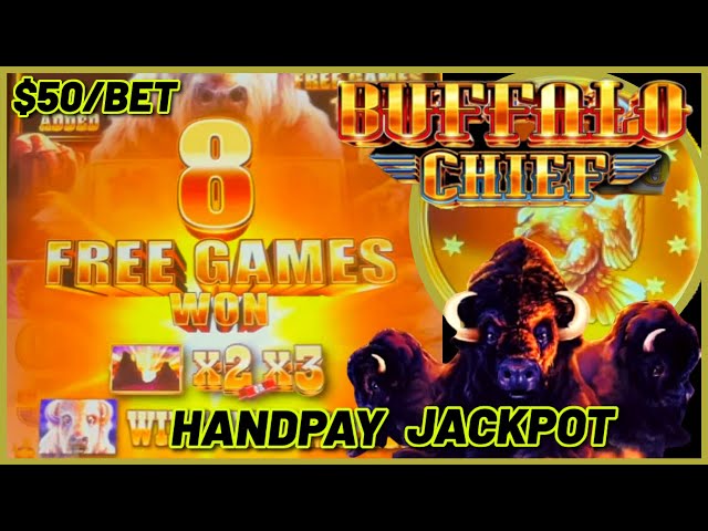 HANDPAY JACKPOT on Buffalo Chief HIGH LIMIT $50 MAX BET Bonus Round Slot Machine Casino