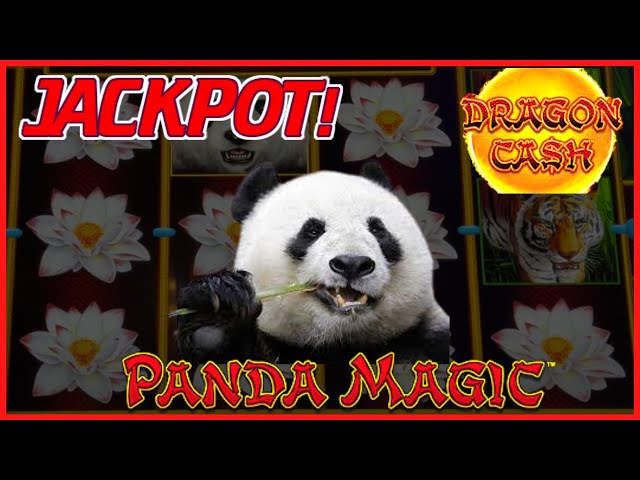 HIGH LIMIT Dragon Cash Link Panda Magic HANDPAY JACKPOT ~ $50 Bonus Round Slot Machine Casino