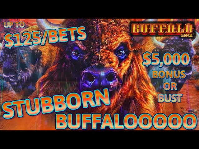 HIGH LIMIT Buffalo Link UP TO $125 SPINS HANDPAY JACKPOT ~ $50 Bonus Round Slot Machine Casino