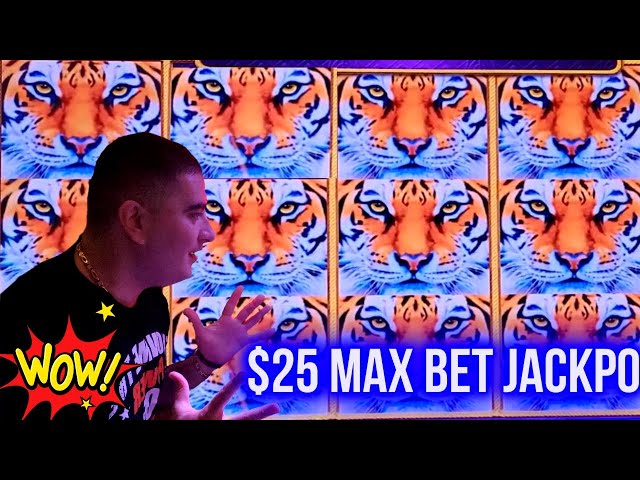 Massive Slot Machine Jackpot in Las Vegas 2024 | Upped My Bet at the ...
