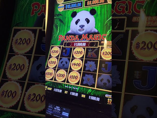$100 A Spin JACKPOT On Dragon Cash Slot #SHORTS