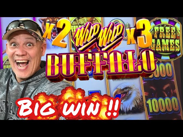 NEW SLOT BIG WIN featuring WILD WILD BUFFALO Slot Machine