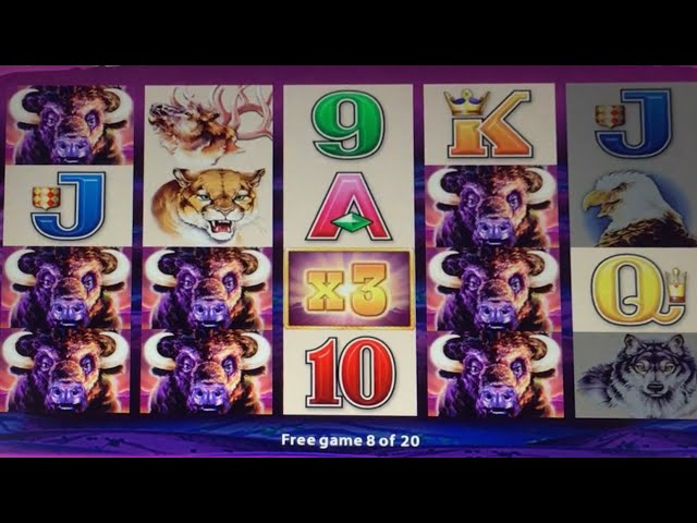 BIG BUFFALO WIN 4 COLUMNS #buffalo #slotman #casino