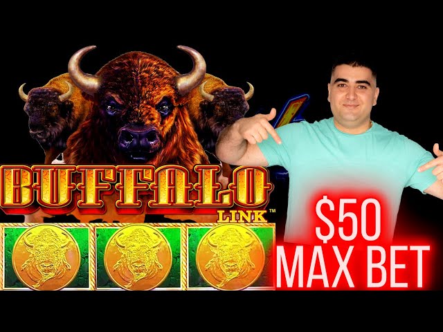 What Will Pay Buffalo Link Slot $50 Max Bet Bonus ? | Live Slot Play At Casino | SE-4 | EP-4