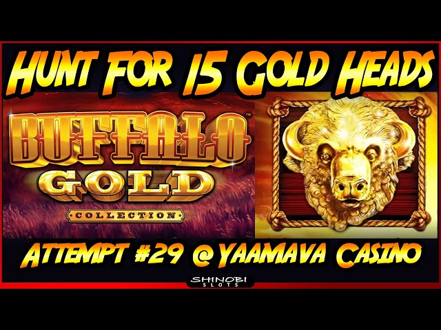 Hunt For 15 Gold Heads! Episode #29 on Buffalo Gold Collection Slot Machine, Live Play and Bonuses