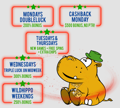 The Lucky Hippo Bonuses for EveryDay