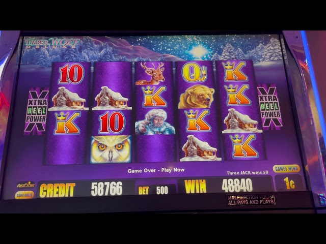 10X Multiplier Win #slotman #timberwolfdeluxe #casino