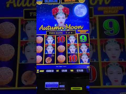 $20/Bet BONUS Autumn Moon Dragon Cash Slot Machine #shorts