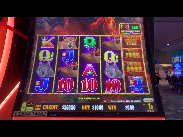 MIGHTY BUFFALO GOLD! WOW!#slots#casino#action #games#bonus##jackpot#handpay