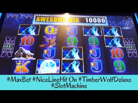 Max Bet Nice Line Hit On TIMBER WOLF DELUXE Slot Machine – SunFlower Slots