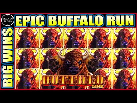 WOW EPIC BUFFALO RUN! BONUS IN THE BONUS BUFFALO LINK SLOT MACHINE