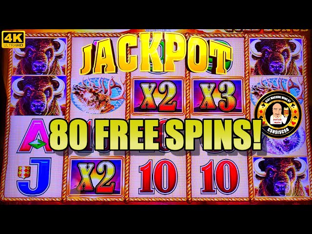 80 SPINS pays HUGE JACKPOT on Buffalo Gold Slot Machine