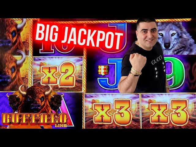 High Limit Buffalo Link Slot BIG HANDPAY JACKPOT – Live Slot Play At Casino
