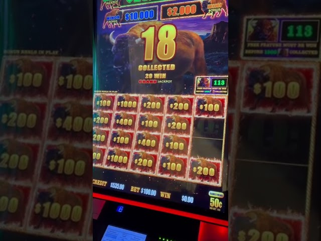 $100 Bet Buffalo Slot Machine BIG JACKPOT #shorts
