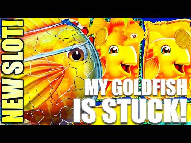 NEW SLOT! SUPER BIG WIN! GOLD FISH FEEDING TIME Slot Machine (LIGHT & WONDER)