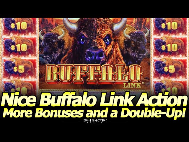 Nice Buffalo Link Action! More Free Games and Hold & Spin Bonuses with a quick Double-Up session!