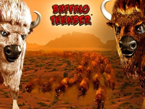 Thunder Buffalo $100 Free Spin Hugh Win