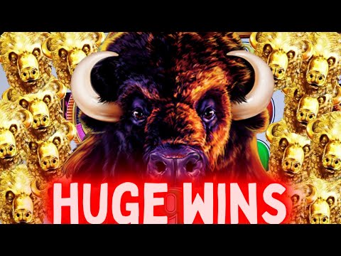 Buffalo Gold Slot Machine HUGE WINS -Winning Money In Las Vegas
