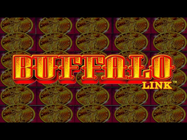 Buffalo Link Slot Machine Run!