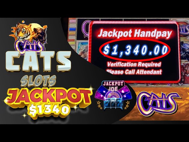 Cats Slots Jackpot $1340 Winner