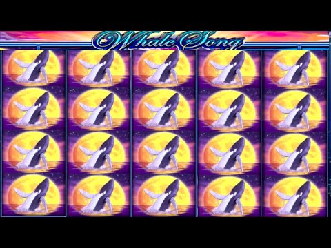 JACKPOT HANDPAY$250 BETSWHALE SONG HIGH LIMIT SLOT MACHINE BUENO DINERO MUSEUM SLOTS IGT