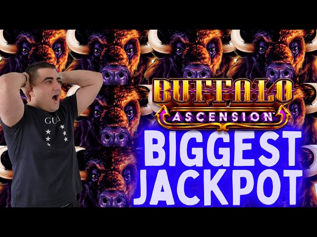 BIGGEST JACKPOT On YouTube History For BUFFALO ASCENSION Slot Machine