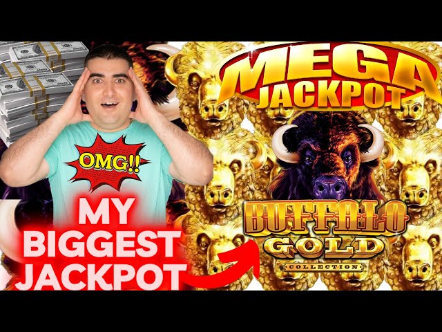 My Biggest Jackpot Ever On Buffalo Gold Slot Machine – Casino Biggest Wins