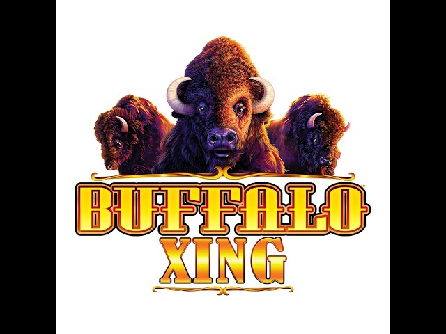 $10 BETS On Buffalo Link Slot Machine!