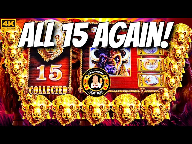 15 GOLD HEADS again on Buffalo Gold Slot Machine