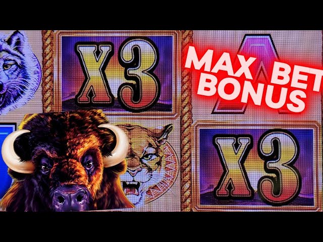 Buffalo Gold Slot Machine Max Bet Bonuses & Nice Wins
