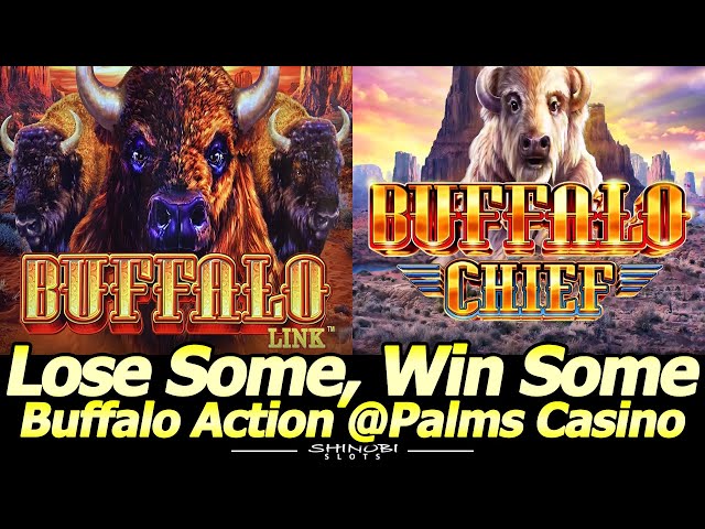 Buffalo Link and Buffalo Chief slot action at Palms Casino in Las Vegas. Lose Some…Win Some!