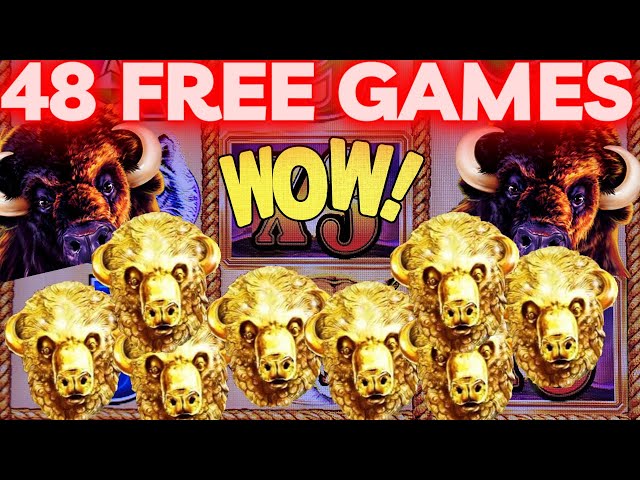 OMG RARE 48 FREE GAMES On Buffalo Gold Slot Machine
