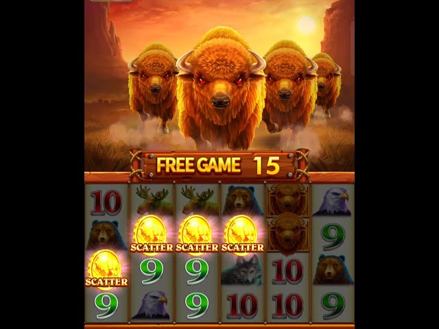 Charge Buffalo Casino Game 4Scatter Free Spin 15 ta Big Money Win Slot Game