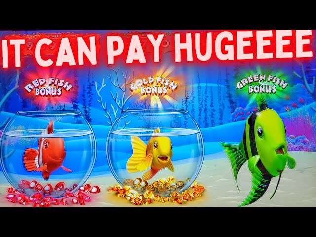 Max Bet Bonuses On GOLD FISH Slot Machine