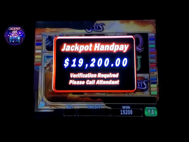$1200 Spins Cats Slots Machine Jackpots