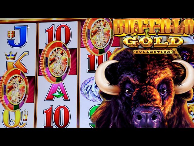 Buffalo Gold Slot MAX BET Bonus – Live Slot Play At Casino