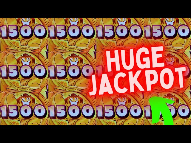 I Hit THE BIGGEST JACKPOT On Sumo Kitty Slot Machine
