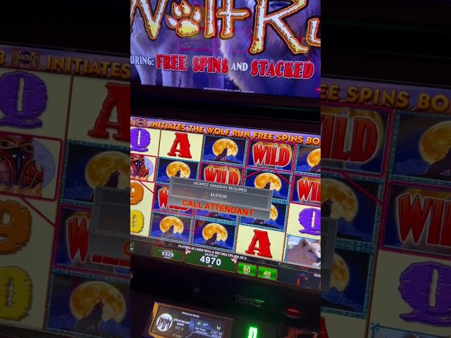 Massive Jackpot On Wolf Run Slot Machine