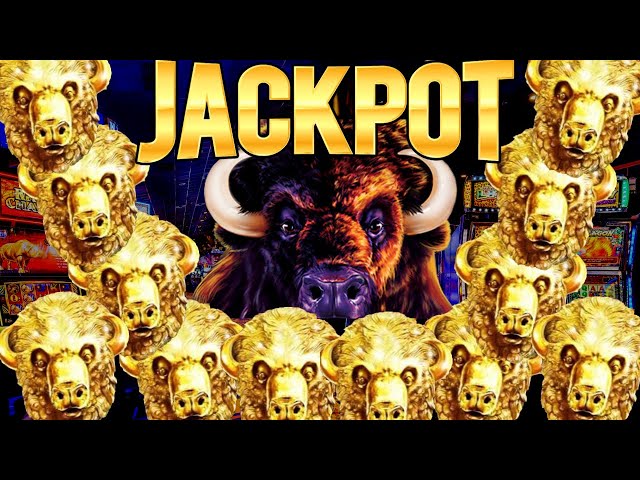 Over 200x BIG HANDPAY JACKPOT On Buffalo Gold Slot Machine